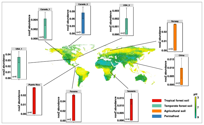 Nature News and Views Cover